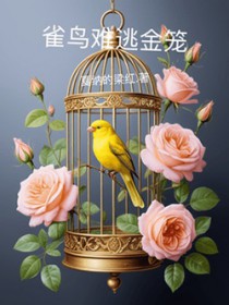 ȸӽ