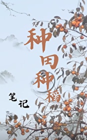 ֵʼ