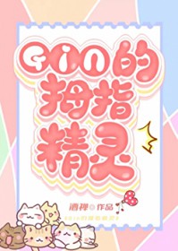 [] GIN˾Ǽ